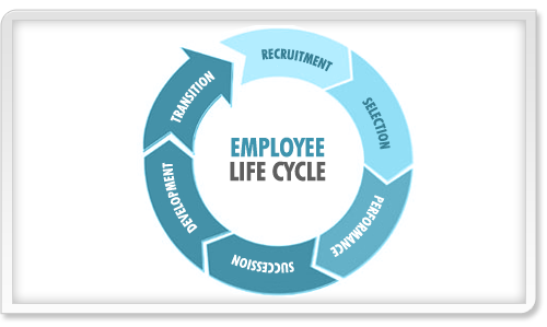 Life Cycle Of Employee